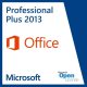 Microsoft Office Professional Plus 2013