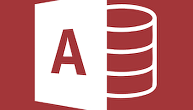 Microsoft Access 2019 Professional Plus