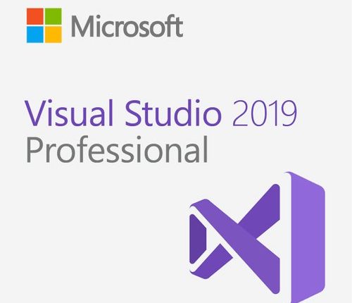 Microsoft Visual Studio Professional 2019