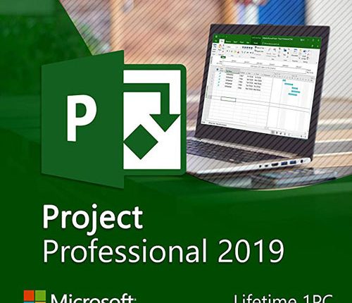 Microsoft Project Professional 2019