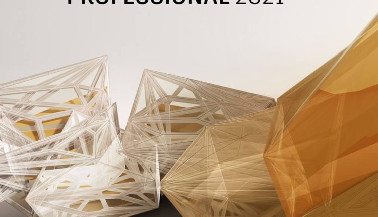 Autodesk Robot Structural Analysis Professional 2021 | Download | Windows | Multilanguage | 1 Year - Student Version | Activation Code and download link