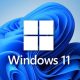 Microsoft Windows 11 Pro for Workstation Multilingual | 1PC | Lifetime License