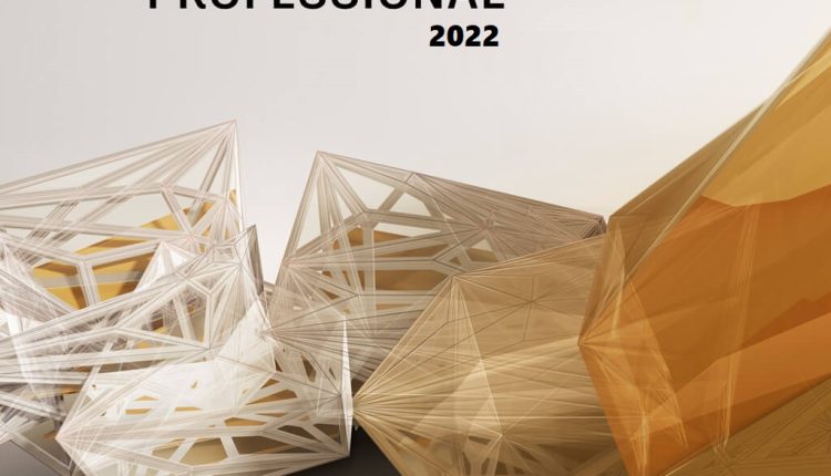 Autodesk Robot Structural Analysis Professional 2022 | Download | Windows | Multilanguage | 1 Year - Student Version | Activation Code and download link