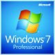 Microsoft Windows 7 Professional